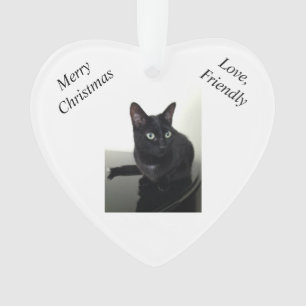 Ornamento del navidad del gato negro