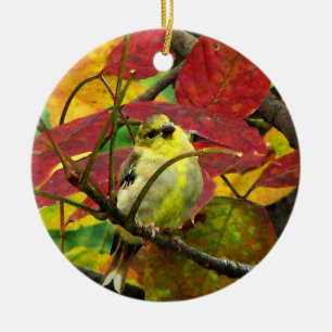 Ornamento del navidad del Goldfinch