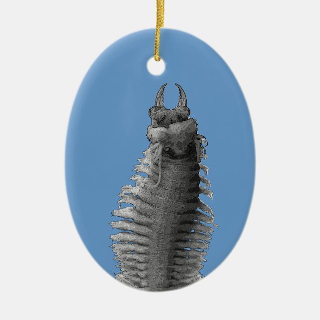 Ornamento del navidad del gusano de Polychaete (Frente)