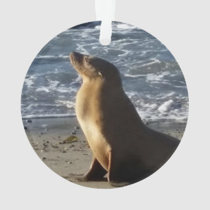 Ornamento del navidad del león marino