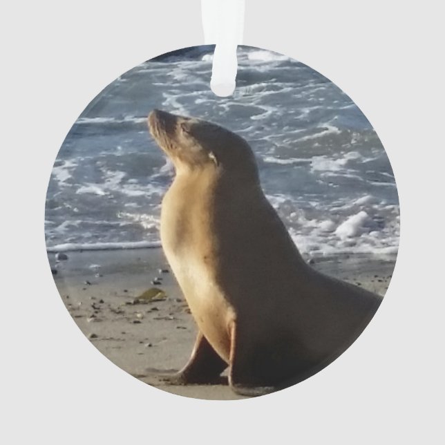 Ornamento del navidad del león marino (Reverso)