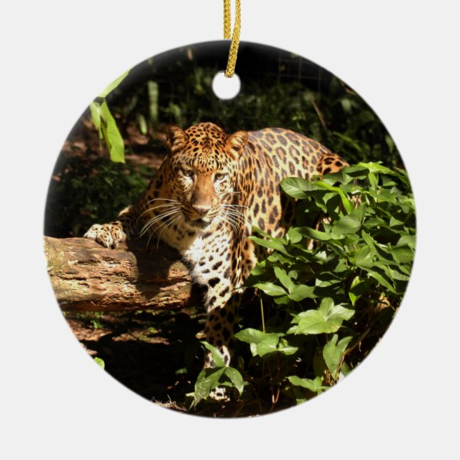 Ornamento del navidad del leopardo (Frente)