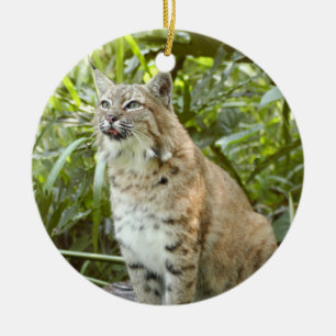 Ornamento del navidad del lince
