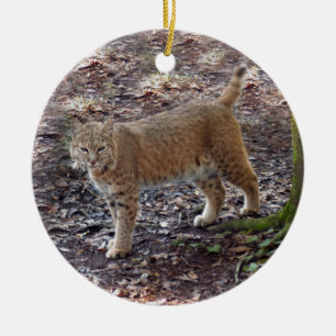 Ornamento del navidad del lince