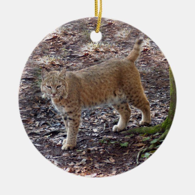 Ornamento del navidad del lince (Frente)