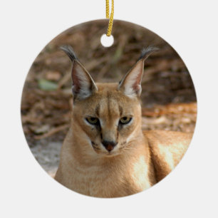 Ornamento del navidad del lince de Caracal