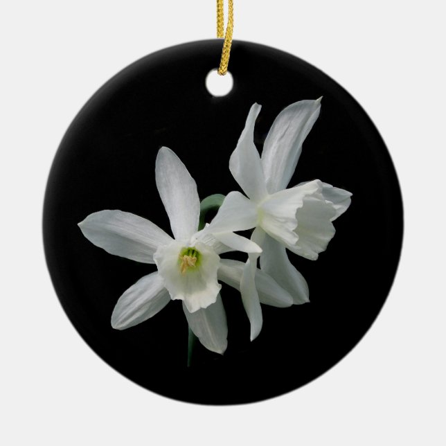 Ornamento del navidad del narciso (Frente)