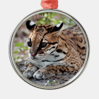Ornamento del navidad del Ocelot