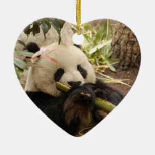Ornamento del navidad del oso de panda
