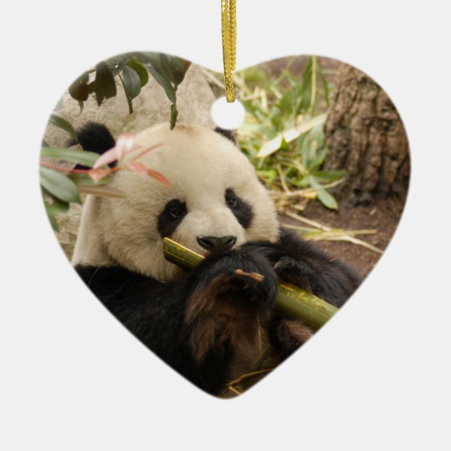 Ornamento del navidad del oso de panda (Frente)