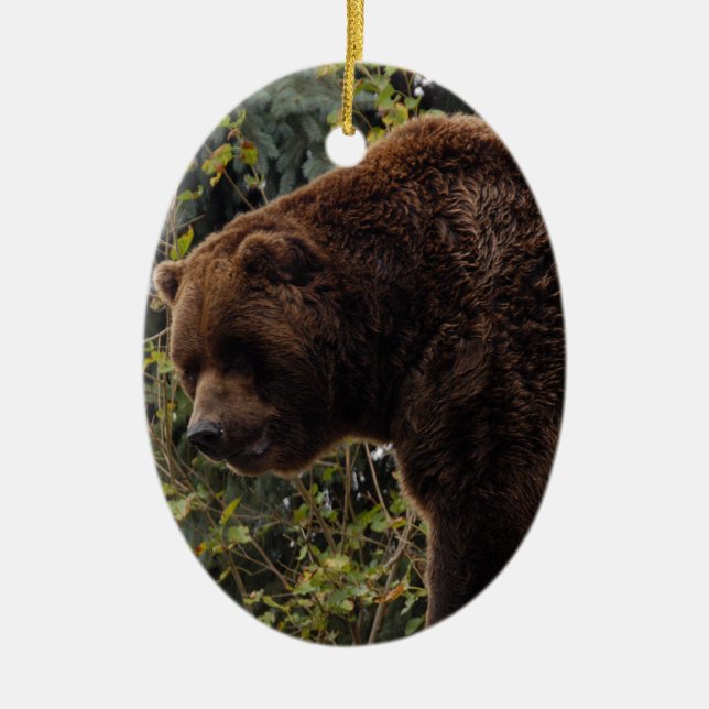 Ornamento del navidad del oso grizzly (Frente)