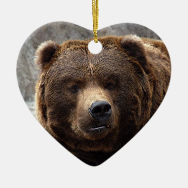 Ornamento del navidad del oso grizzly (Frente)