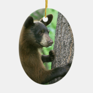 Ornamento del navidad del oso negro