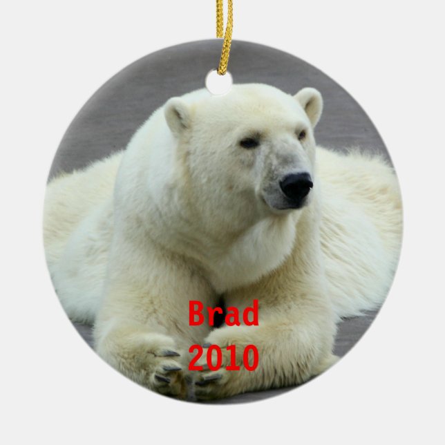 Ornamento del navidad del oso polar (Frente)