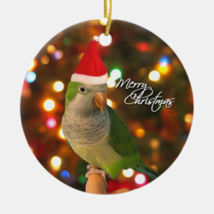 Ornamento del navidad del Parakeet del Quaker de