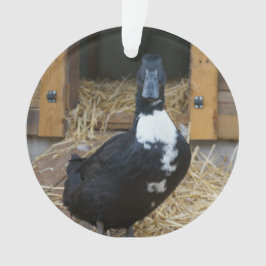 Ornamento del navidad del pato