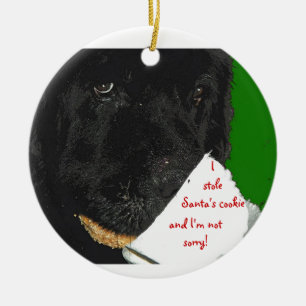 Ornamento del navidad del perro de Terranova