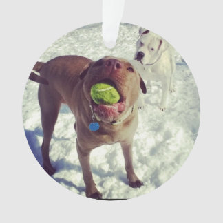 Ornamento del navidad del pitbull