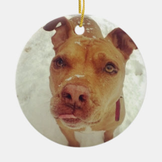 Ornamento del navidad del pitbull