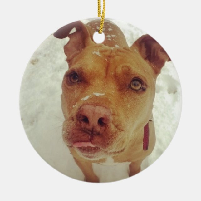 Ornamento del navidad del pitbull (Frente)