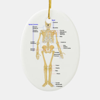 Ornamento del navidad del profesor de ciencias
