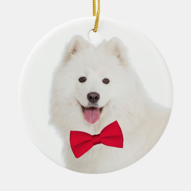 Ornamento del navidad del samoyedo (Frente)