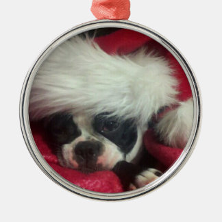 Ornamento del navidad del terrier de Boston