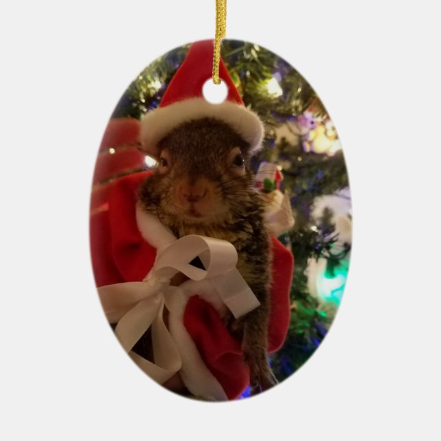 Ornamento del navidad del Tumbleweed (Frente)