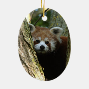 Ornamento del navidad - panda roja