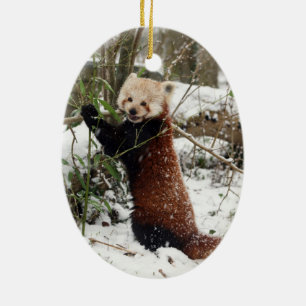 Ornamento del navidad - panda roja