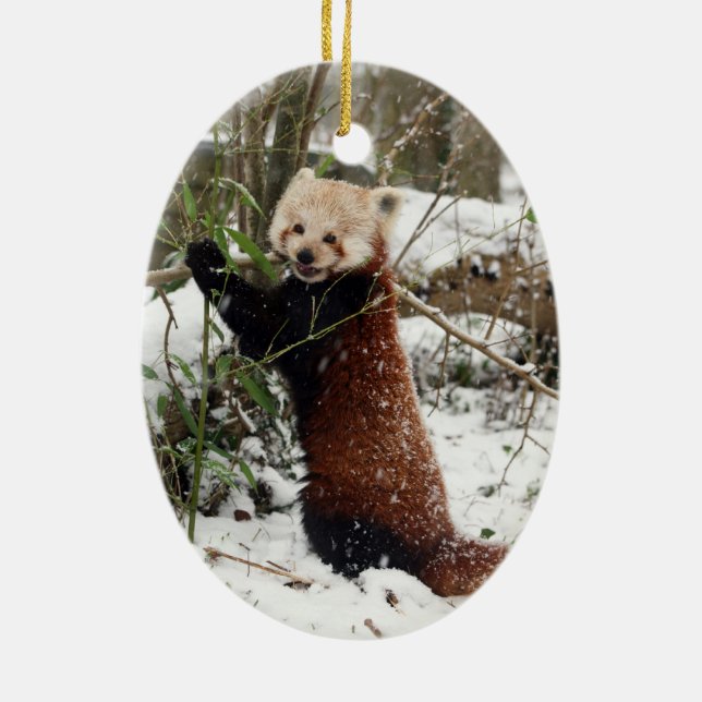 Ornamento del navidad - panda roja (Atrás)