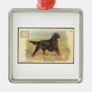 Ornamento del organismo de Gordon del vintage