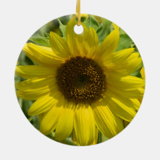 Ornamento del oro del girasol