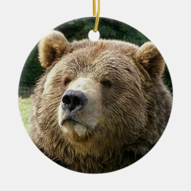 Ornamento del oso (Frente)