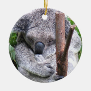 Ornamento del oso de koala