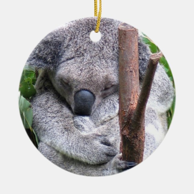 Ornamento del oso de koala (Frente)