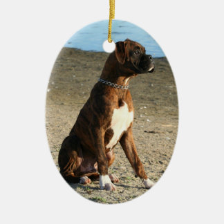 Ornamento del óvalo del perrito del boxeador