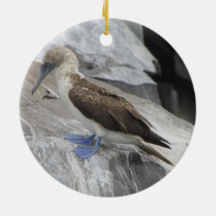 Ornamento del pájaro