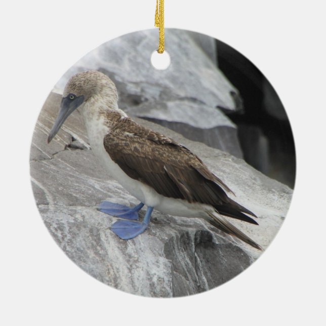 Ornamento del pájaro (Atrás)