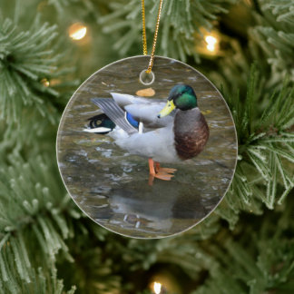 Ornamento del pato Mallard (Creek)