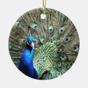Ornamento del pavo real