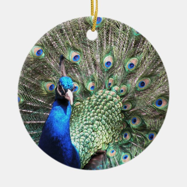 Ornamento del pavo real (Frente)