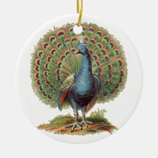 Ornamento del pavo real del vintage… (Frente)