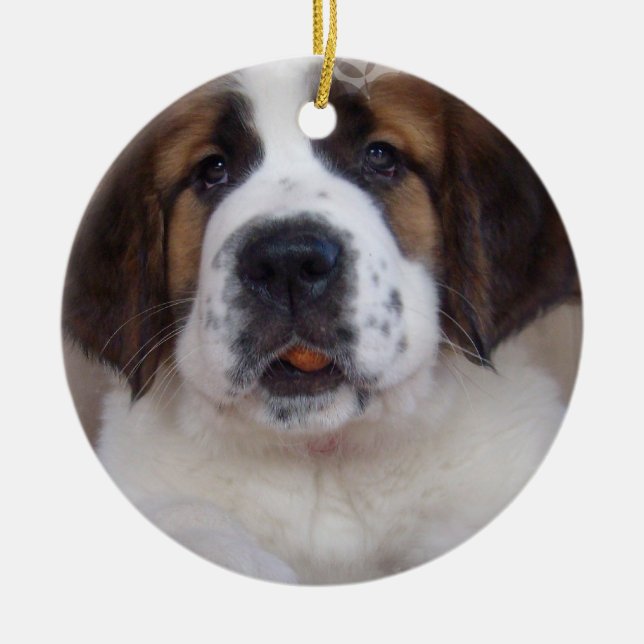 Ornamento del perrito de St Bernard (Frente)