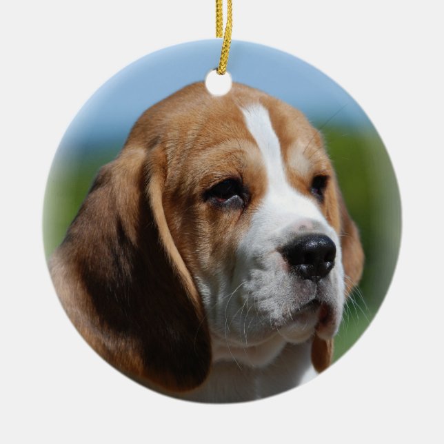 Ornamento del perrito del beagle (Frente)