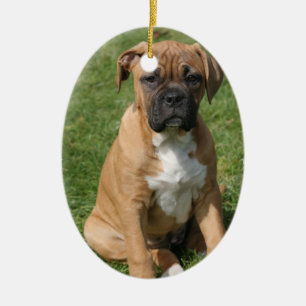 Ornamento del perrito del boxeador
