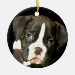 Ornamento del perrito del boxeador