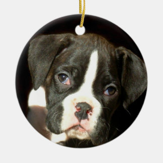 Ornamento del perrito del boxeador