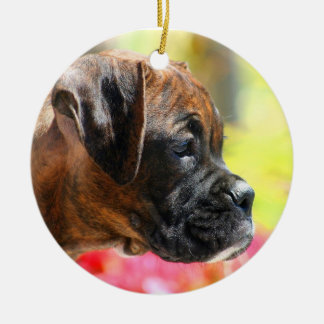 Ornamento del perrito del boxeador