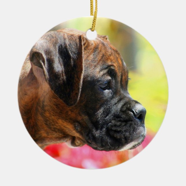 Ornamento del perrito del boxeador (Frente)